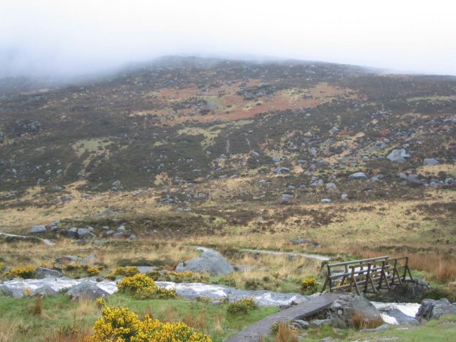 St. Kevin's Way