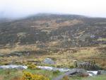 St. Kevin's Way