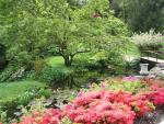 The gardens at play