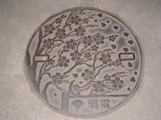 Ueno cover