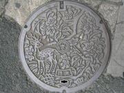 Nara cover