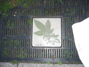 Miyajima tree grate