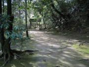Dappled
