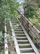 Chutes and ladders