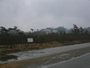 Wind gusts